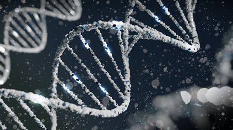 Zdroje DNA z rôznych biologických materiálov