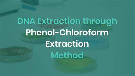 Schéma fenol-chloroformovej extrakcie DNA