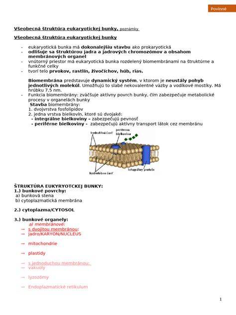 Štruktúra jantárového anhydridu
