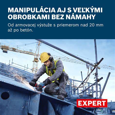 Schéma excentrickej brúsky Bosch s vyznačenými kľúčovými komponentmi ako motor, brúsna jednotka, ložisková príruba a systém odsávania prachu