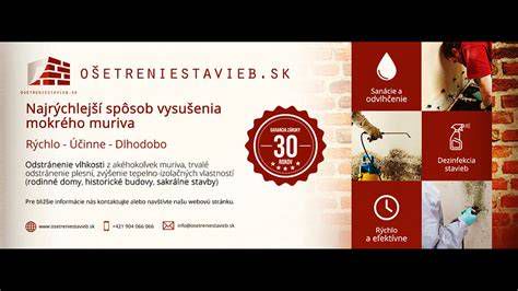 Schéma vzlínajúcej vlhkosti v murive a miesta prieskumu