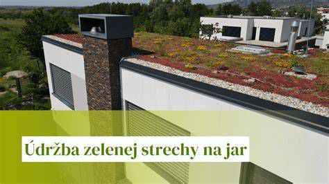 Údržba zelenej strechy - odburiňovanie a závlaha