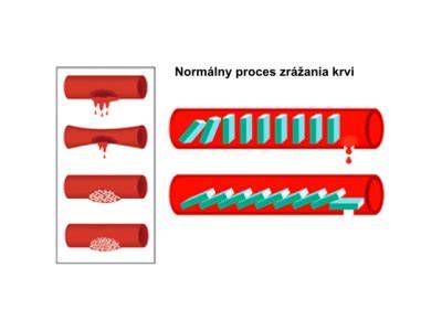 schéma zloženia psej krvi