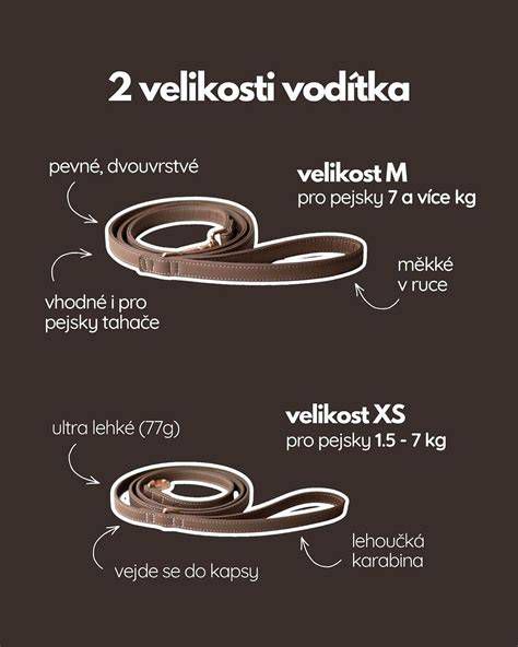 Schéma horného vodítka FAST v zafrézovanej koľajnici