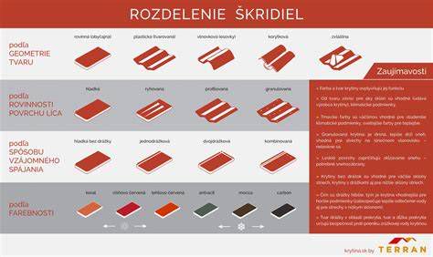 Infografika: Rozdelenie reťazových píl podľa výkonu a použitia