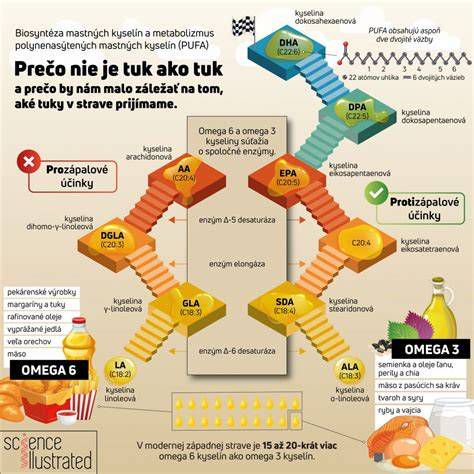 Infografika: Prečo je dôležité natierať kovové zábradlie