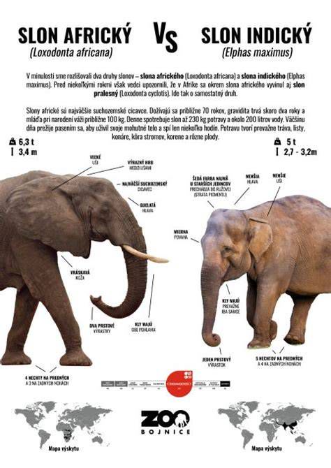 Infografika: Rozdiel medzi vnútornými a vonkajšími hemoroidmi