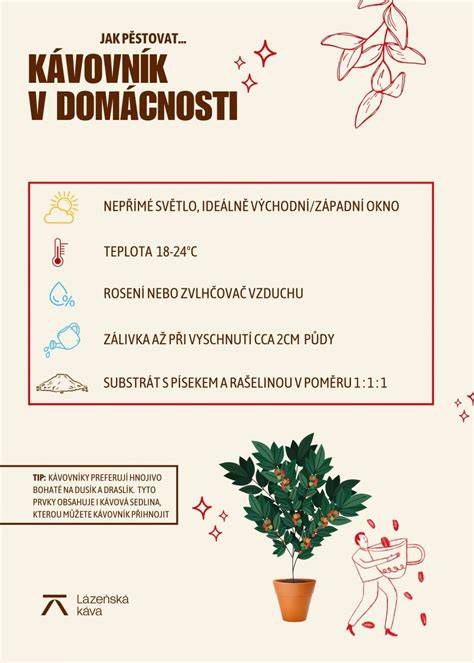 Infografika: Stupne protišmykovosti dlaždíc (R-klasifikácia)
