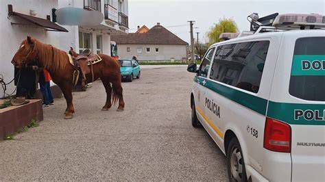 Kôň kráčajúci po betónovej ceste s podkovami