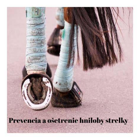 Fotografia kopyta s prejavmi hniloby strelky