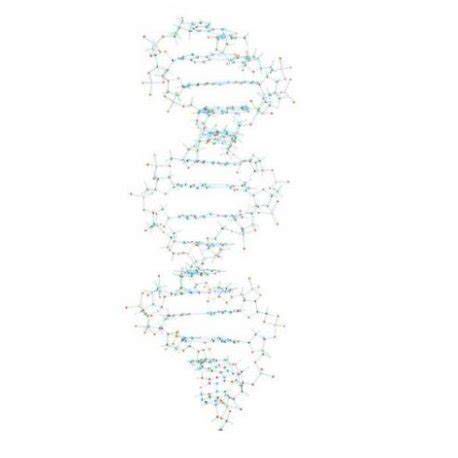 Vizuálne znázornenie štruktúry DNA
