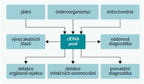 Schéma základných krokov izolácie DNA