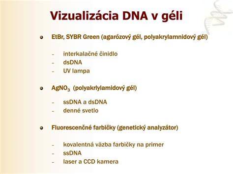 Spektrofotometer a agarózový gél pre analýzu DNA