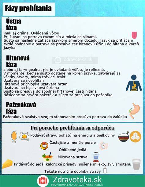 Infografika: Fázy rozpočtu rekonštrukcie