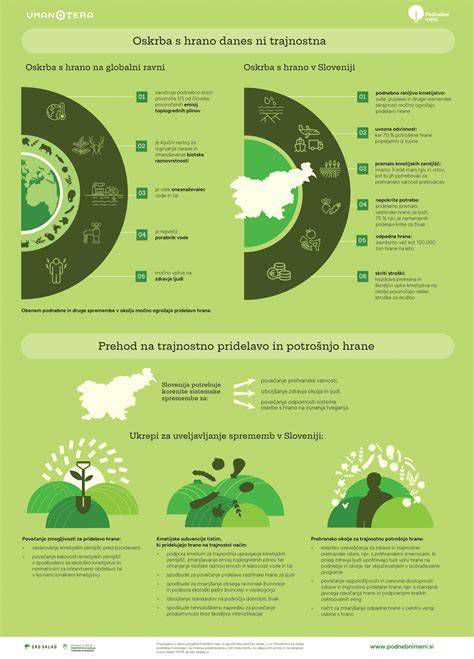 Infografika s riedením penetrácie (1:3)