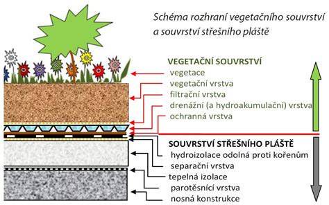 Schéma vrstev zelené střechy: hydroizolace, drenáž, substrát a vegetace