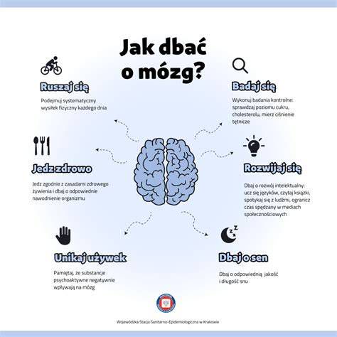 Schéma mechanizmu panického ataku v mozgu