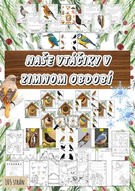 Infografika správneho vetrania v zimnom období